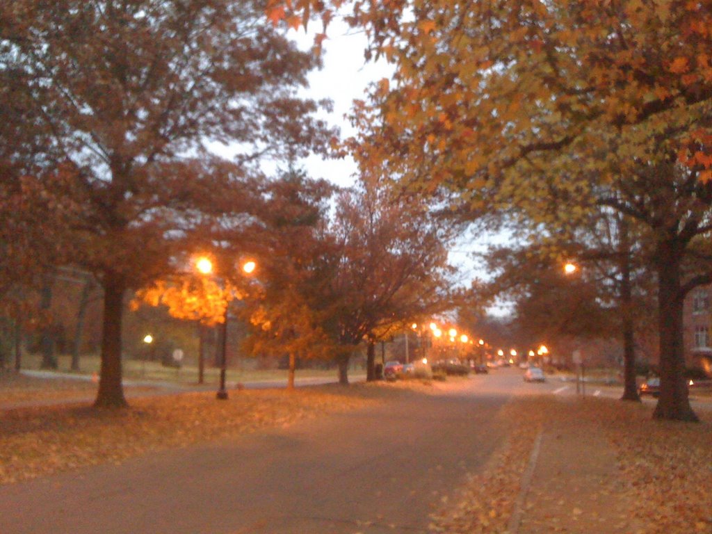 Clayton morning