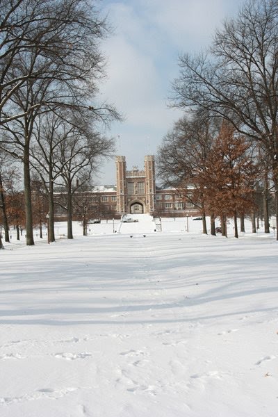 WUSTL in snow