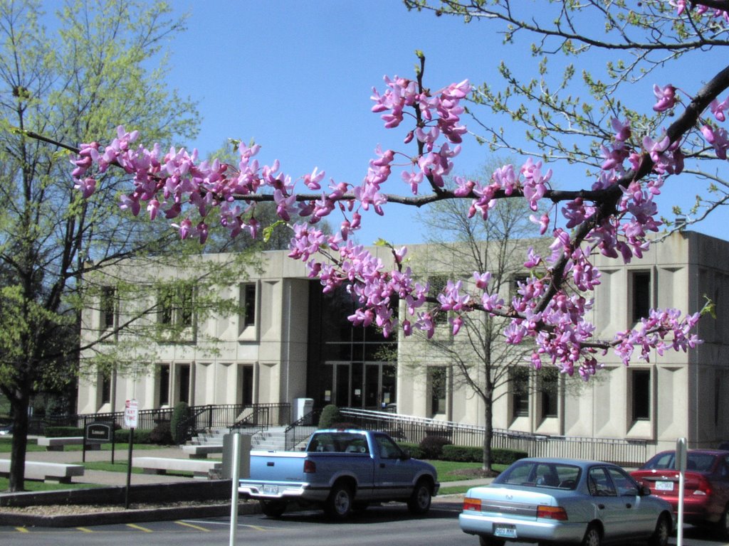 Fontbonne University Library