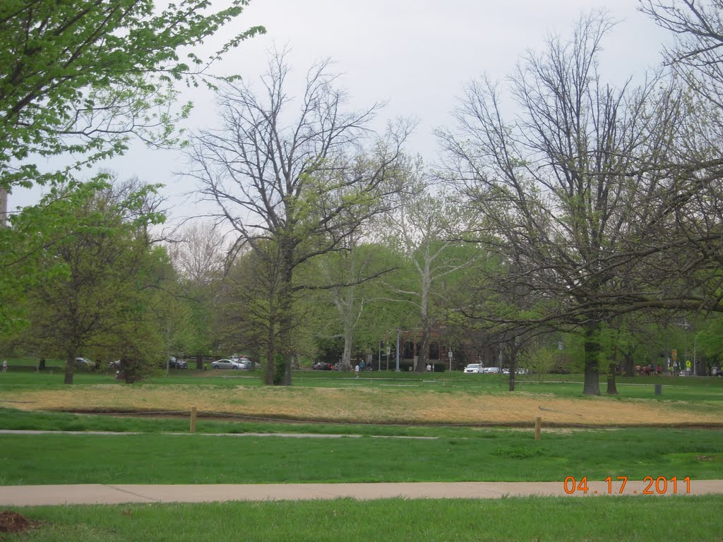 Lagoon Drive