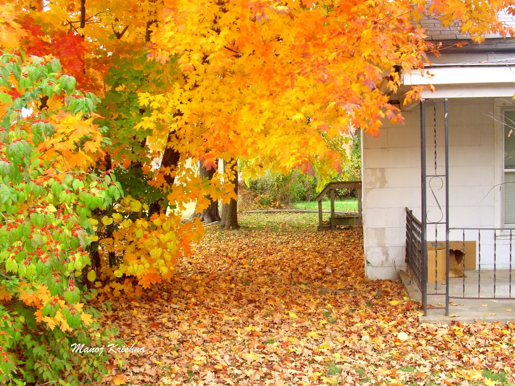 fall in rolla