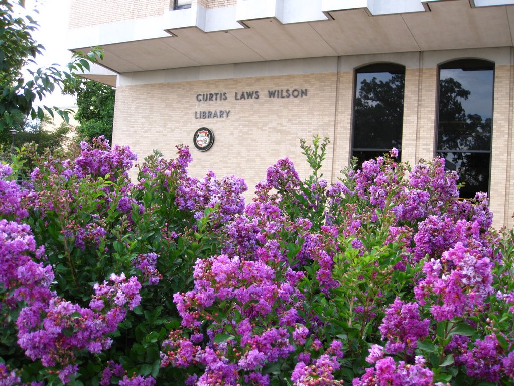 Curtis Law Wilson Library Missouri S&T