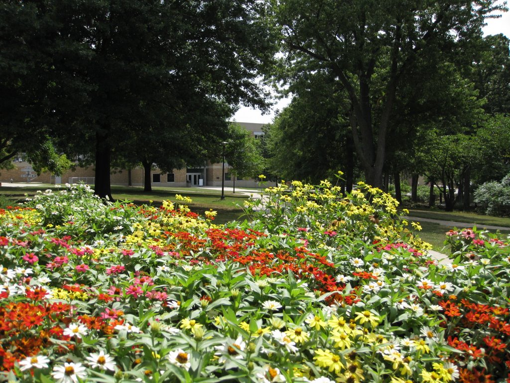Missouri S&T