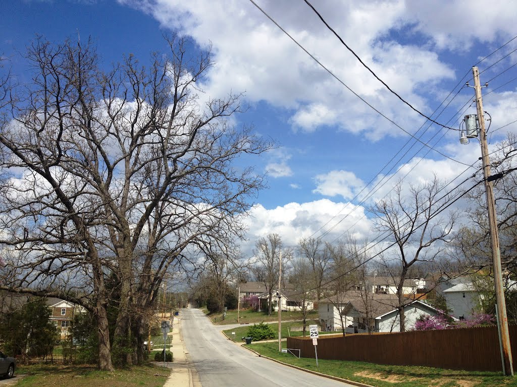 Vienna Road, ever beloved