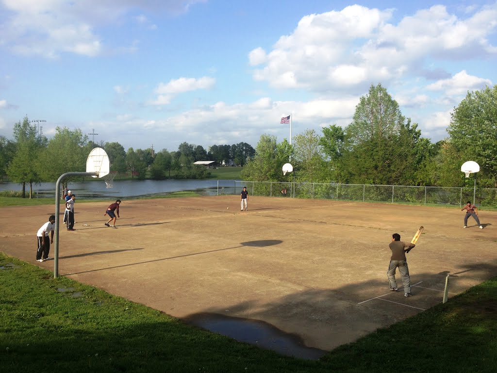 Cricket field in Schumann park
