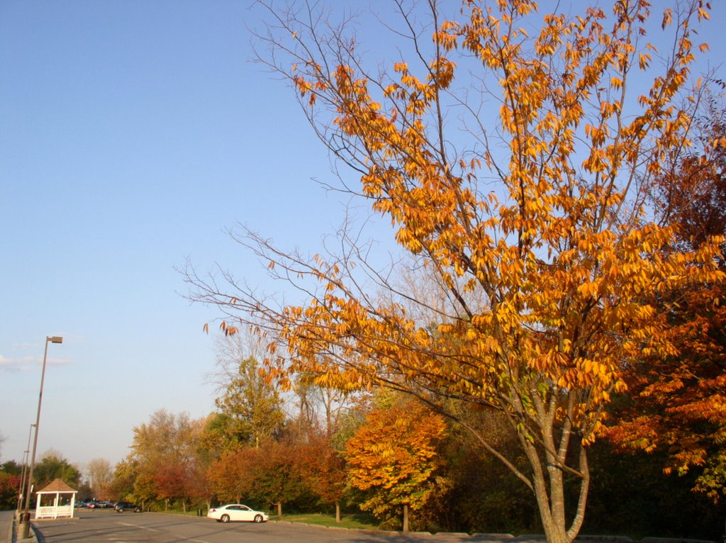 Frontier Park, Saint Charles