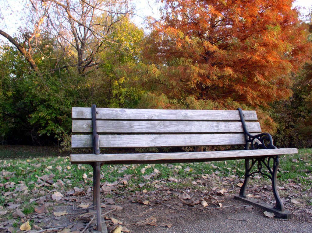 Bench in Frontier Park, Saint Charles, MO