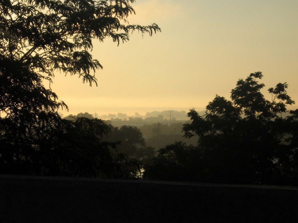 Foggy Sunrise