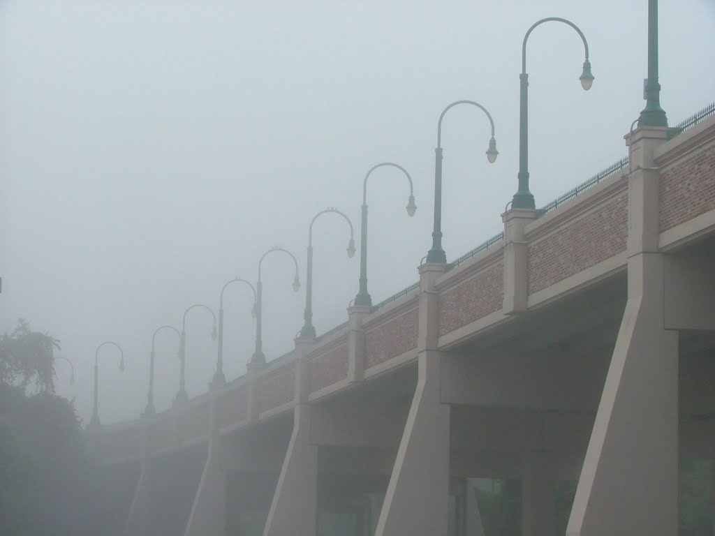 A Foggy Morning