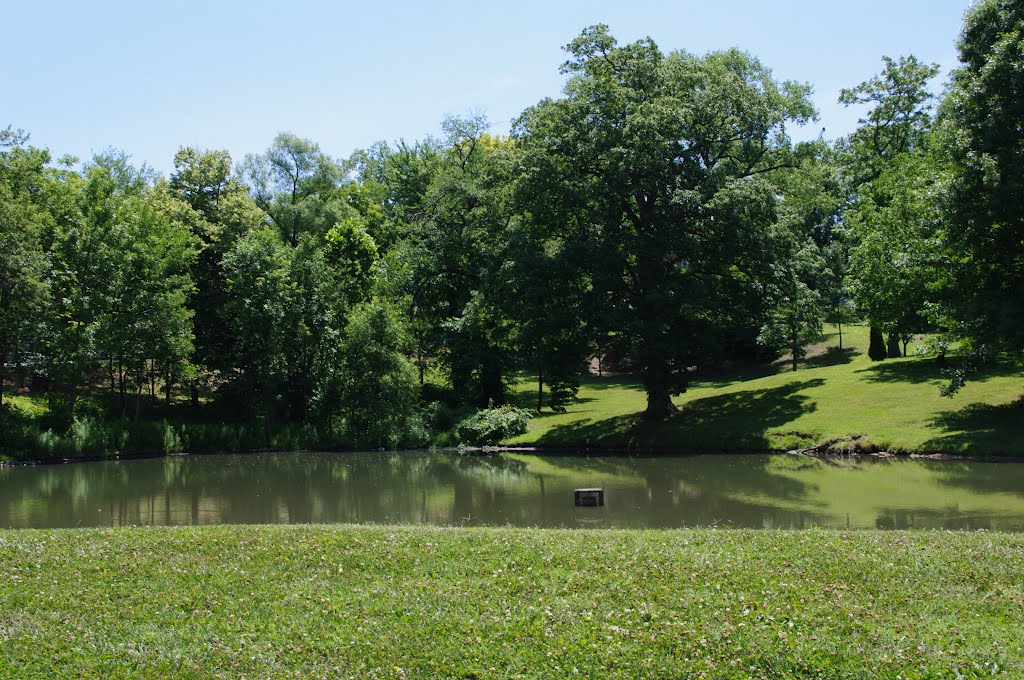 Harmon Pond