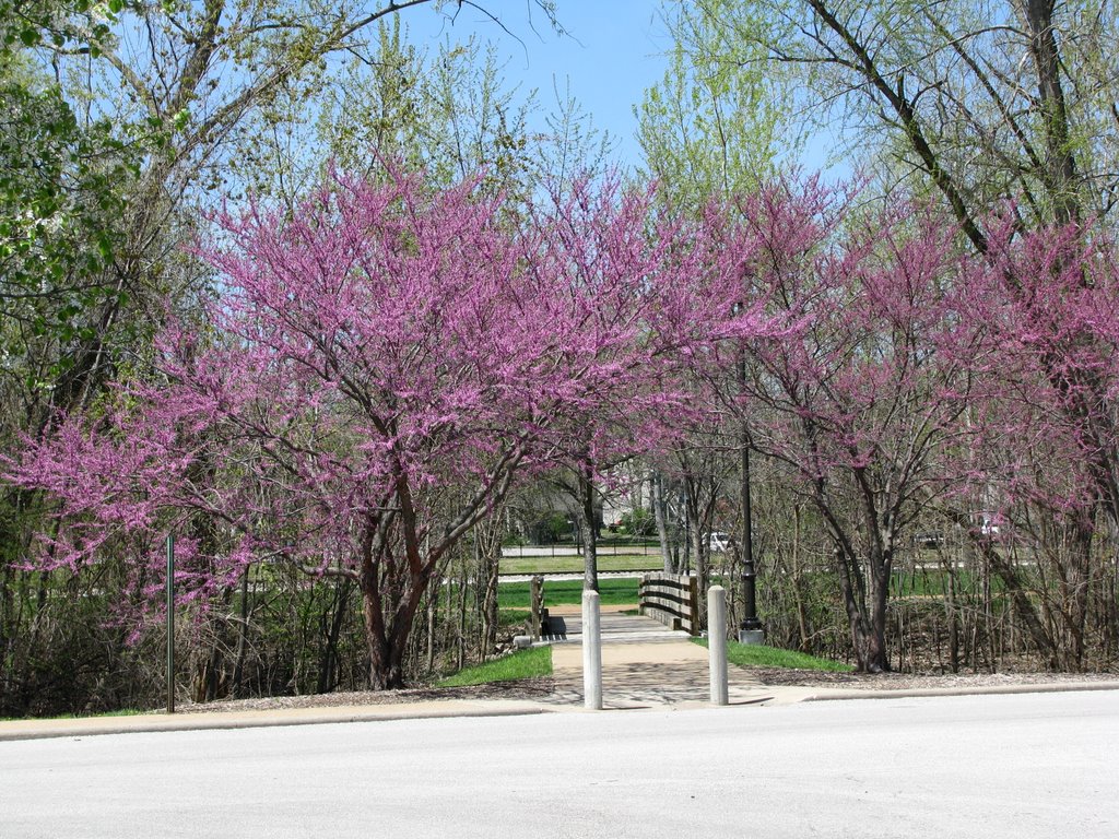 Frontier Park