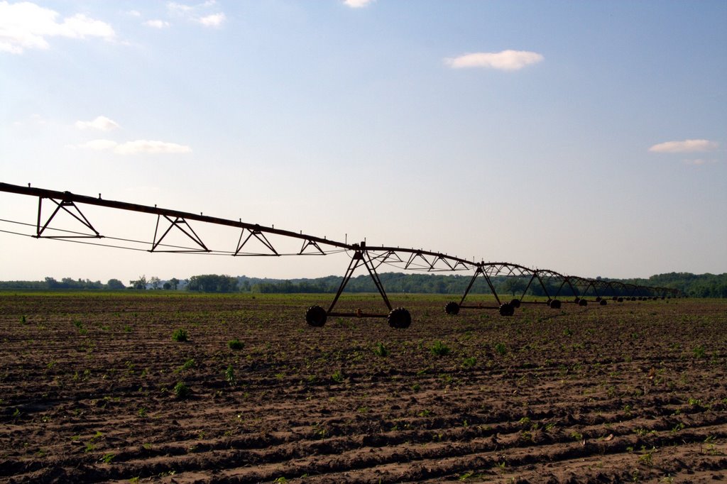 Irrigation