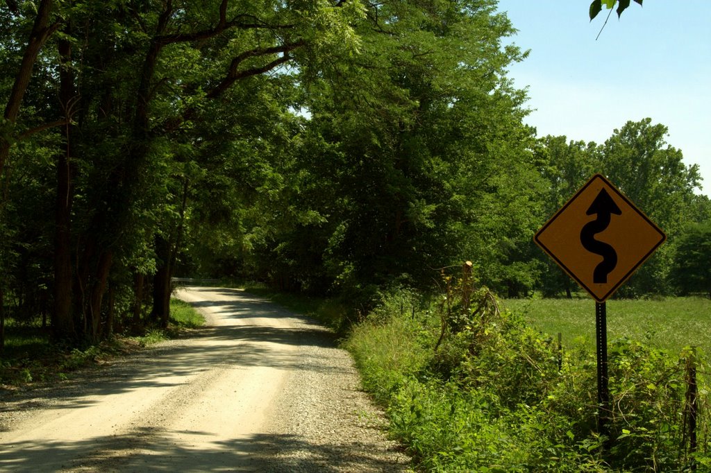 Winding gravel road