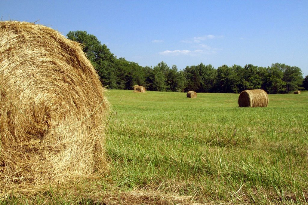 Hay bales (part 2)