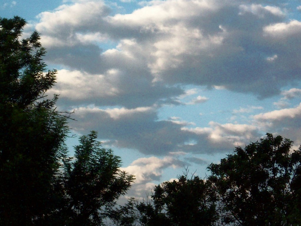 Clouds in the Morning
