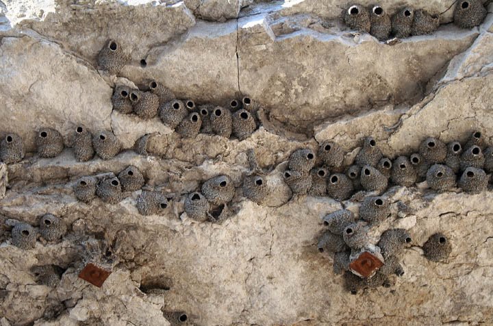 Swallows nests, Smart Warehousing?,city unknown between Kansas City and Nevada