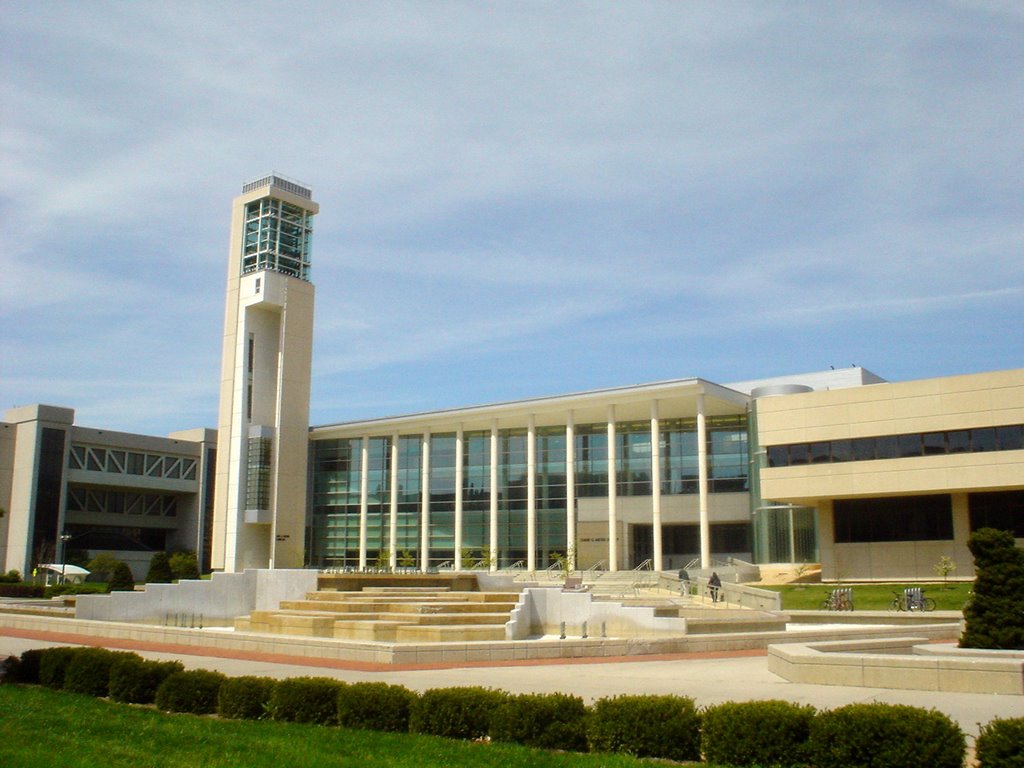 MSU Library