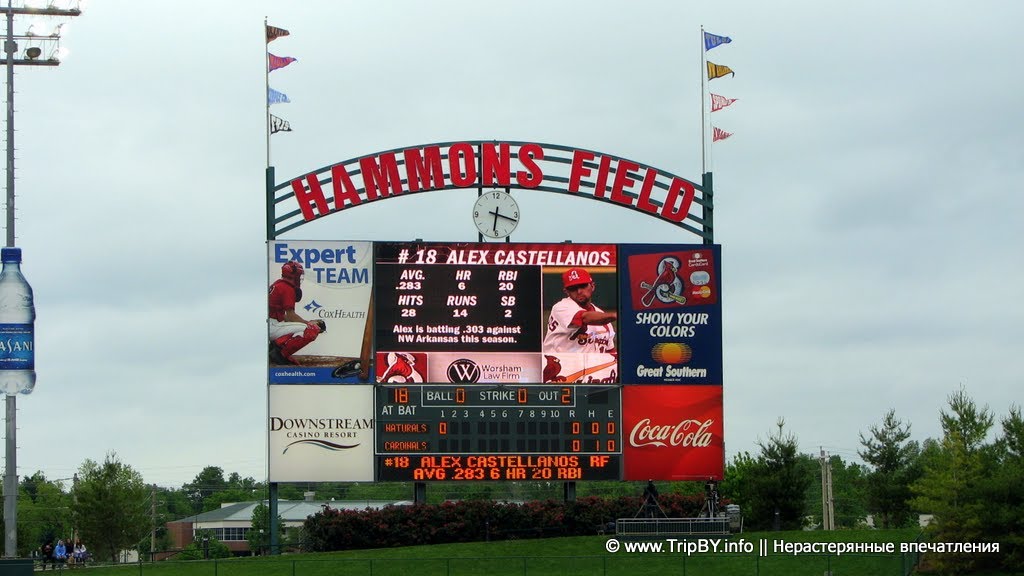 Springfield Cardinals