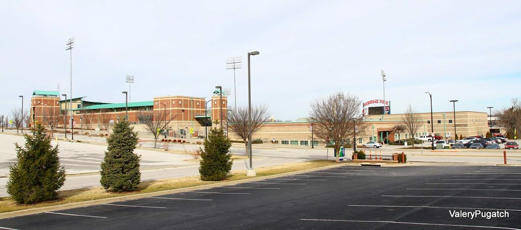 Hammons Field Stadium