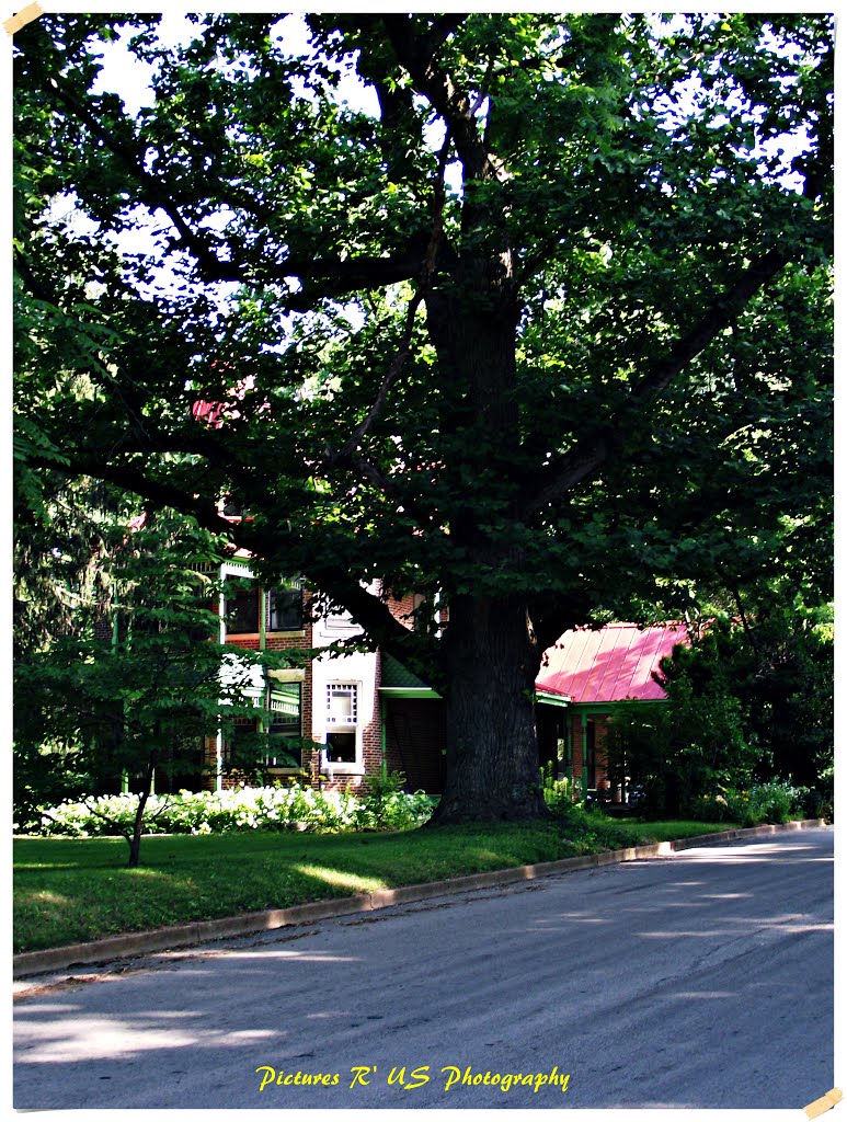 Old House