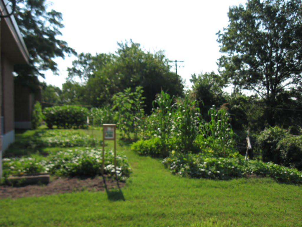 Kinloch Seed Bank & Youth Garden