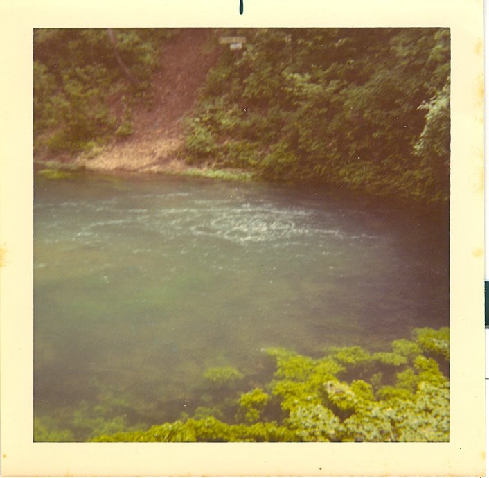 Spring water at Ft.Leonard Wood,Mo.  1970