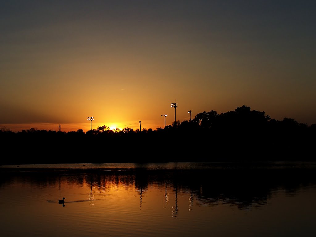 St Ferdinand Park