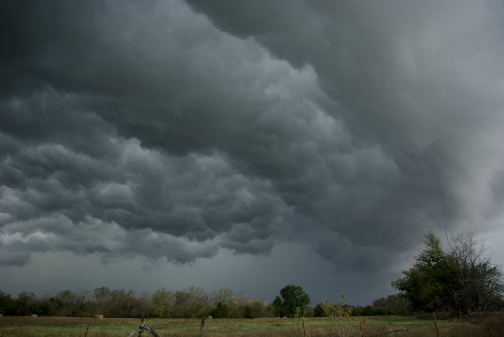 Stormin Chasin