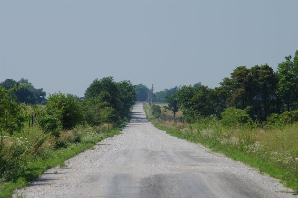 Facing South on Lawrence 1095