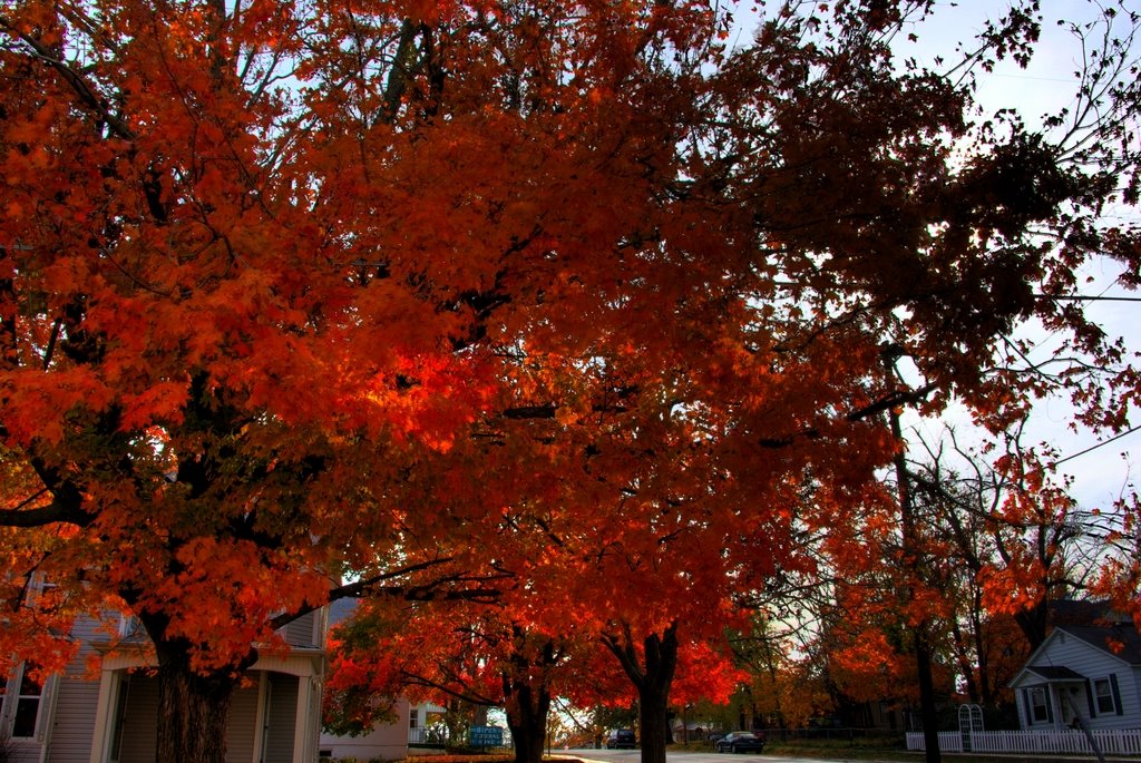 Fall in Ash Grove