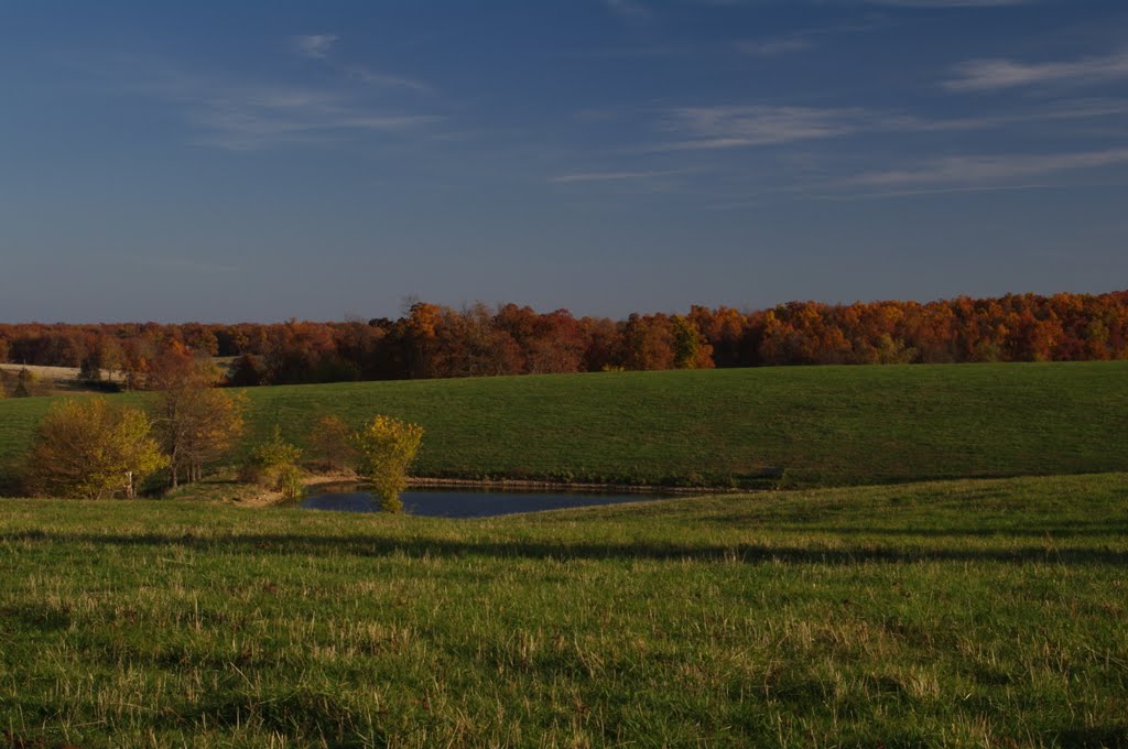 Greenfield