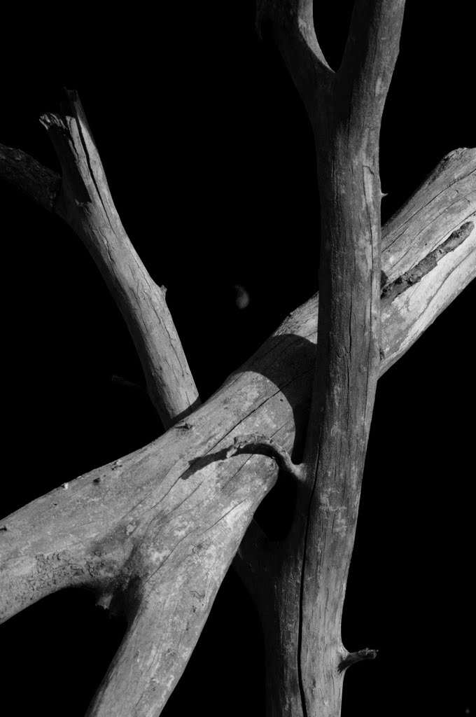 Forked