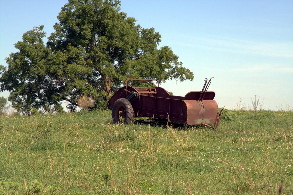 Grazing
