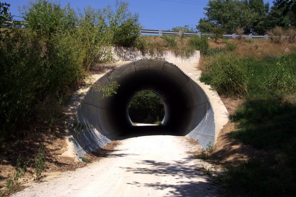 Katy trail underpass