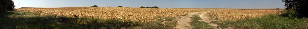 After the corn is gone