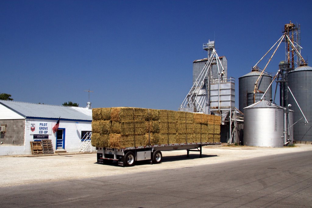 Pilot Grove Co-Op/MFA with hay