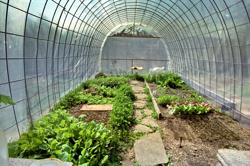 1990 Brothers Missouri farm