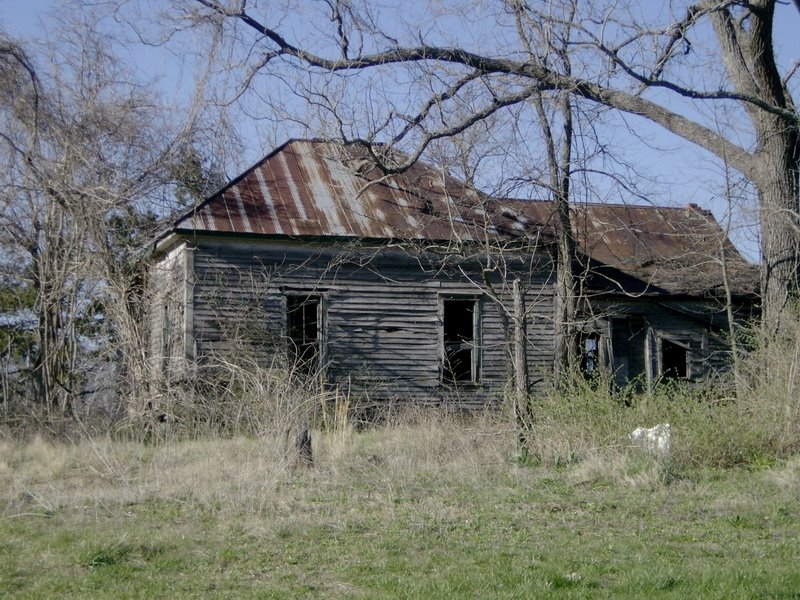 Abandoned house in forest