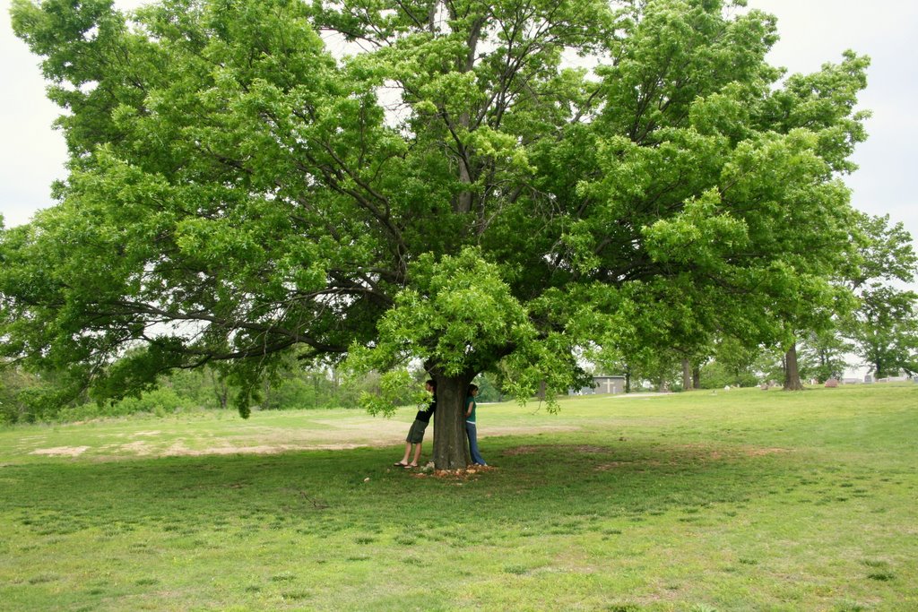 Forest Park Cemetery