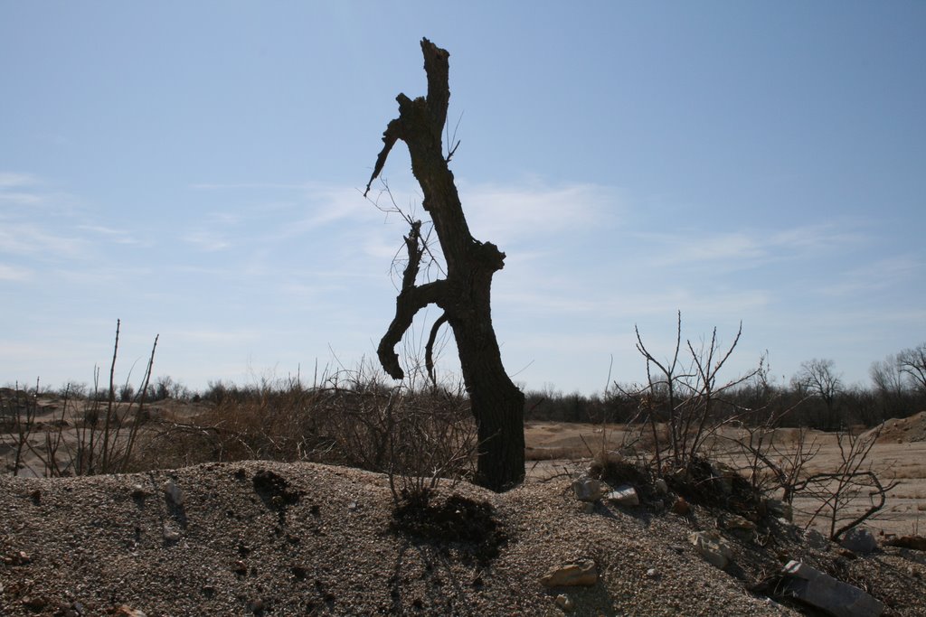 Desolation