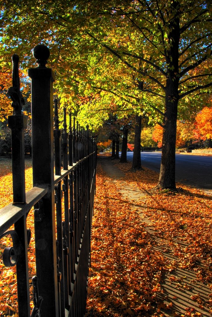 15th Street Fence