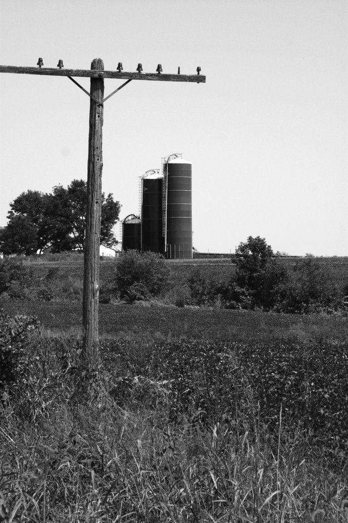 Telegraph pole/Silos