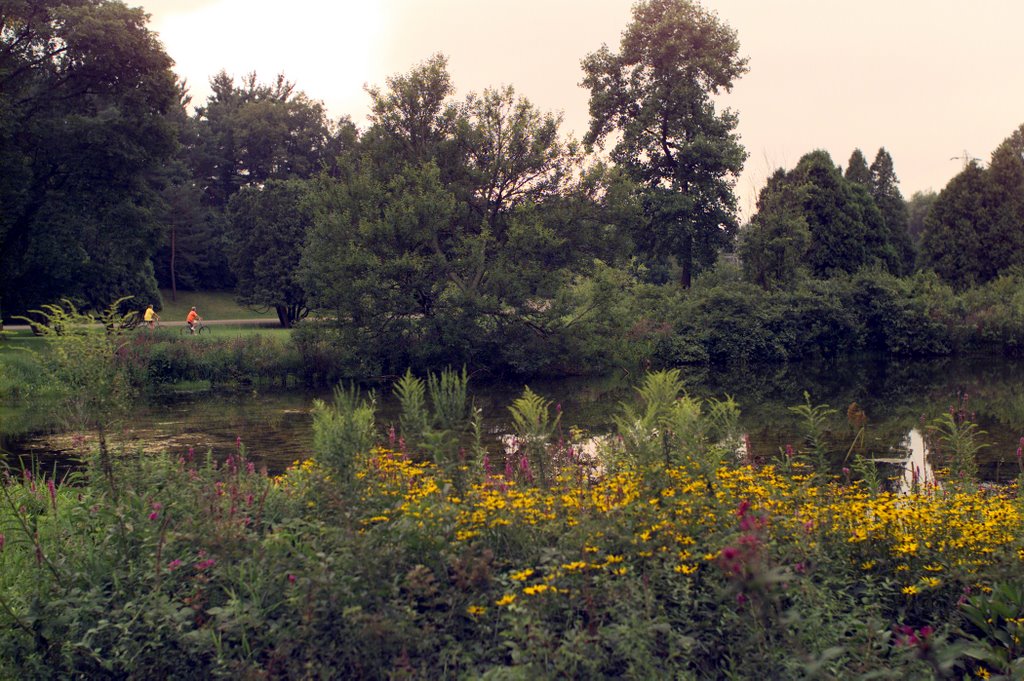 Linear Park