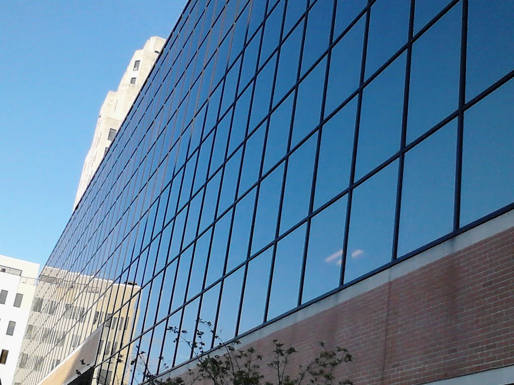 Reflections on Glass
