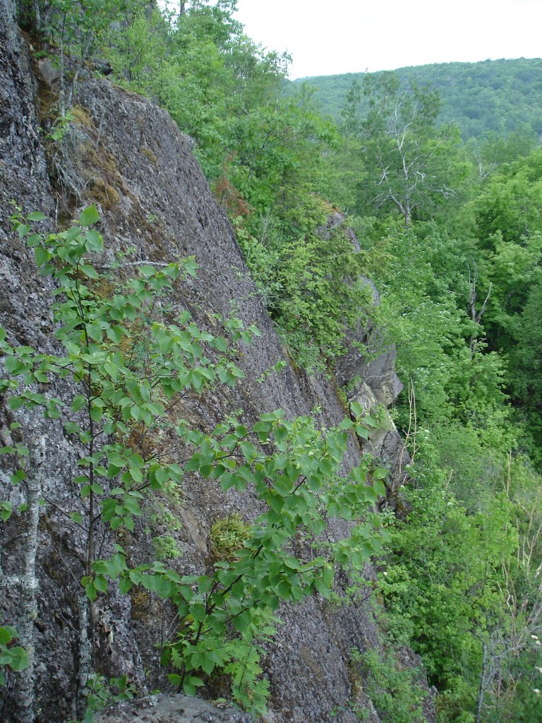 Powdermill Creek Bluff