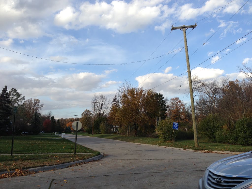 Bingham Farms, United States