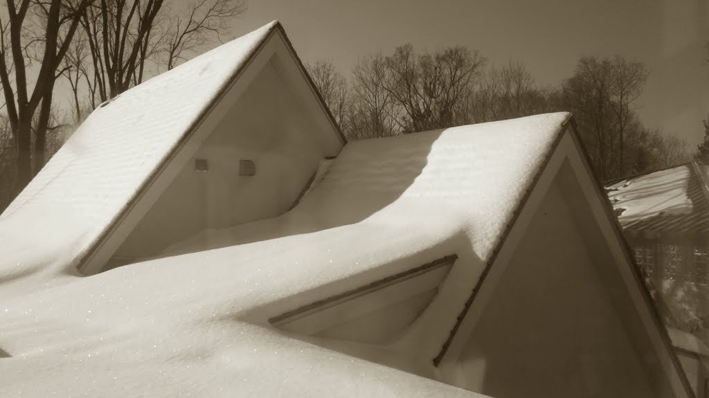 roof art