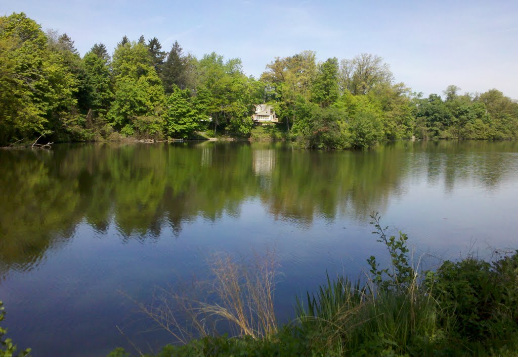 A simple perfect day