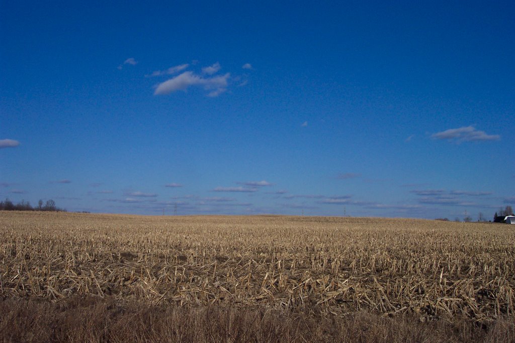 Millington