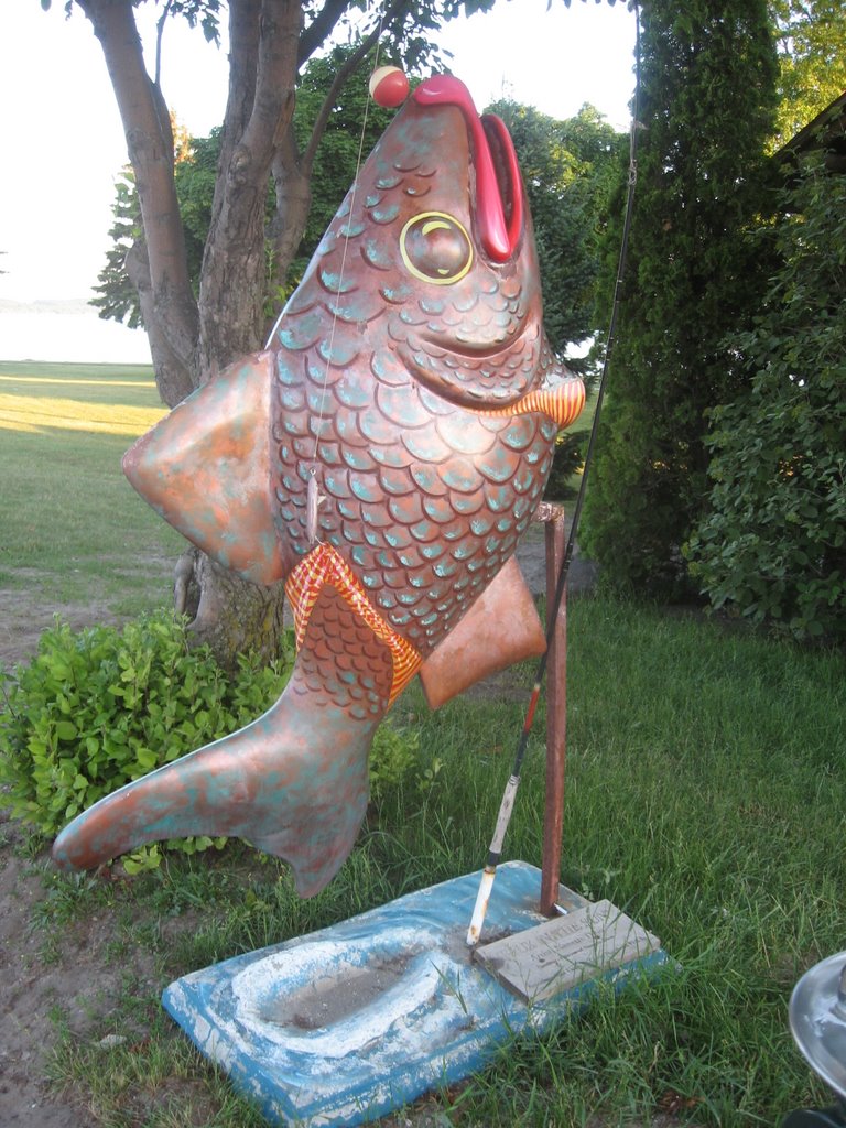 Boyne City Fish